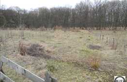 Teren 1000 mp, Faget, ideal casa individuala