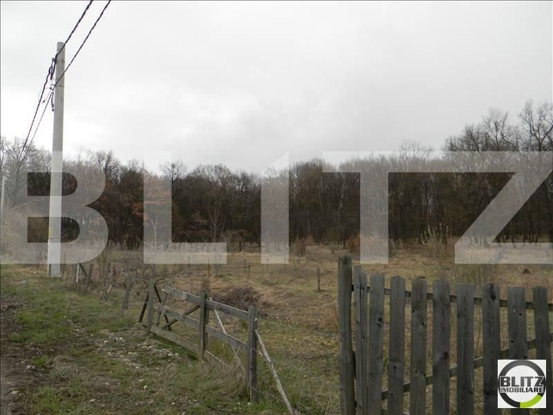Teren de vânzare Făget - 22889TV | BLITZ Cluj-Napoca | Poza2