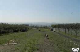 Vanzare teren, 500 mp. Autorizatie construire in derulare! Expunere sud!