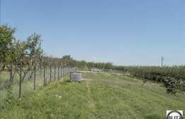 Vanzare teren, 500 mp. Autorizatie construire in derulare! Expunere sud!