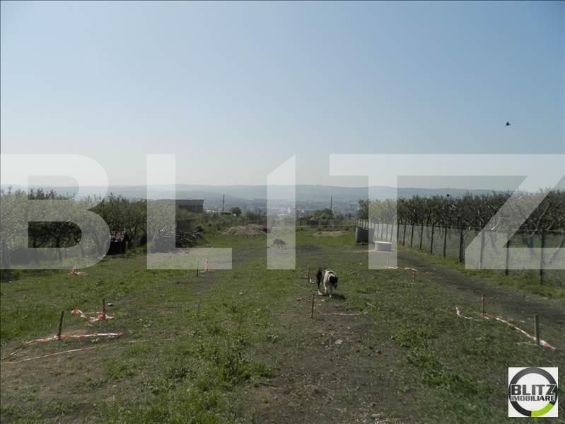 Teren de vânzare Dambul Rotund - 22894TV | BLITZ Cluj-Napoca | Poza2