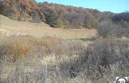 2200 mp in zona Tauti!