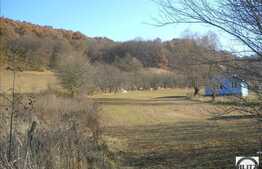 2200 mp in zona Tauti!