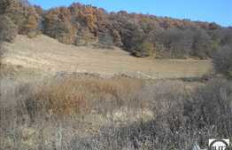 2200 mp in zona Tauti!