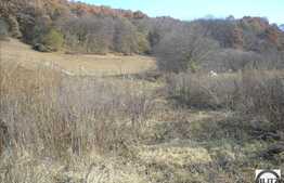 2200 mp in zona Tauti!