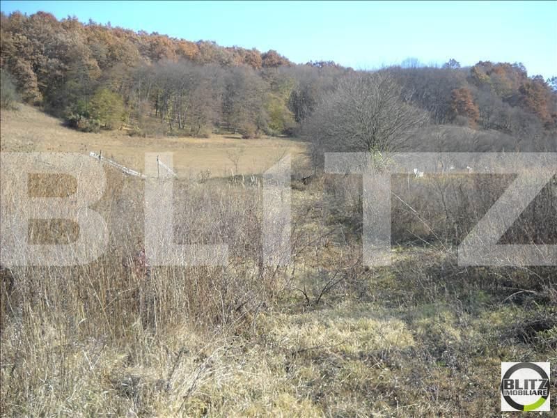 Teren de vânzare Floreşti - 22896TV | BLITZ Cluj-Napoca | Poza2