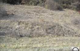 800 mp in natura si liniste!