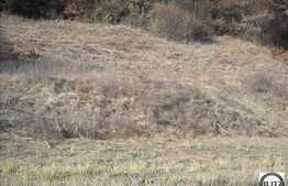 800 mp in natura si liniste!