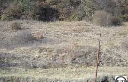 800 mp in natura si liniste!