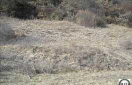 800 mp in natura si liniste!