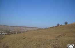 2000 mp in zona verde! Zona Floresti!