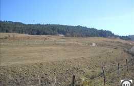 2000 mp in zona verde! Zona Floresti!