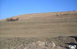 2000 mp in zona verde! Zona Floresti!