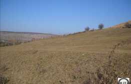 2000 mp in zona verde! Zona Floresti!