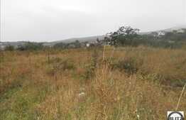 Vanzare teren, 439 mp, regim inaltime P+E+M, utilitati la front!