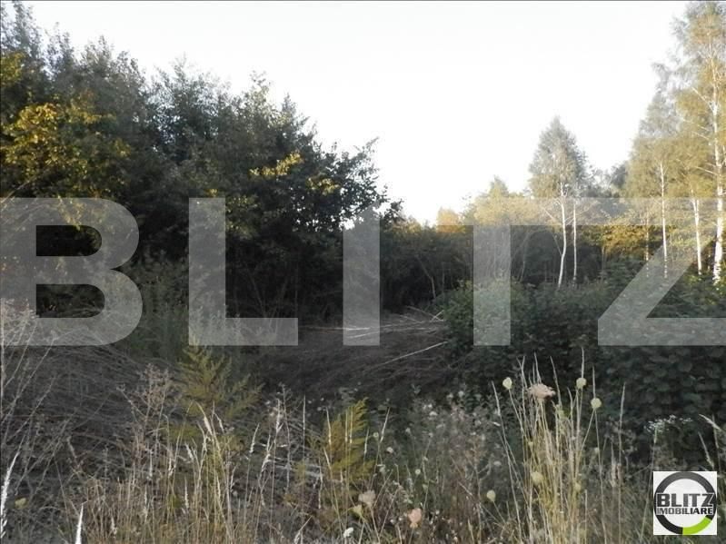 Teren de vânzare Borhanci - 22901TV | BLITZ Cluj-Napoca | Poza2