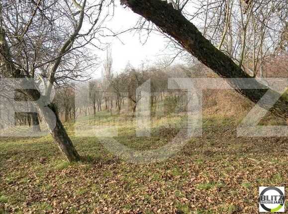 Teren de vânzare Dambul Rotund - 22903TV | BLITZ Cluj-Napoca | Poza2