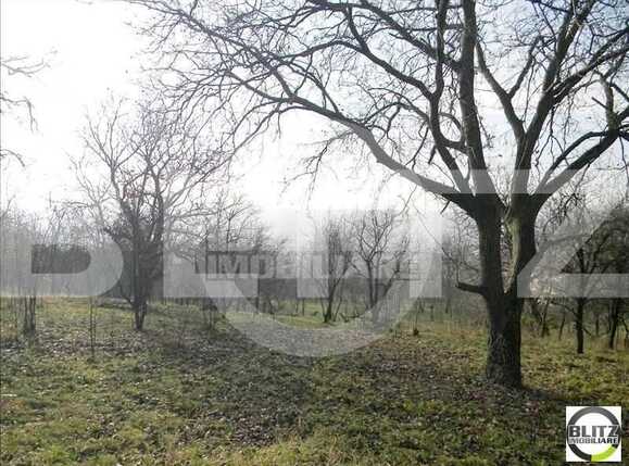 Teren de vânzare Dambul Rotund - 22903TV | BLITZ Cluj-Napoca | Poza4