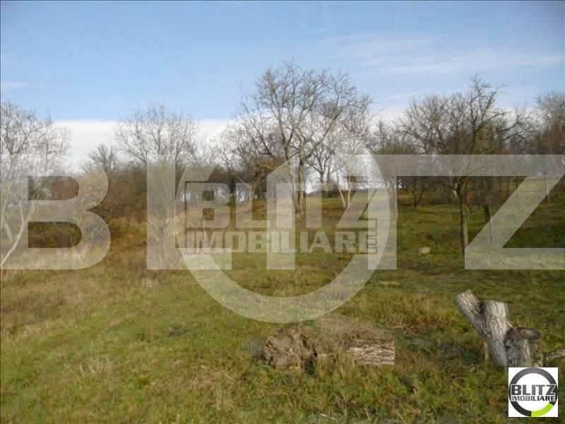Teren de vânzare Dambul Rotund - 22903TV | BLITZ Cluj-Napoca | Poza11
