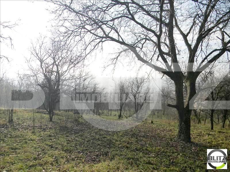 Teren de vânzare Dambul Rotund - 22903TV | BLITZ Cluj-Napoca | Poza4