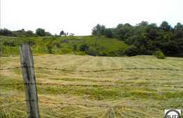 Teren cu o panorama deosebita asupra Clujuilui, la 5 km de Cluj, 2500 mp