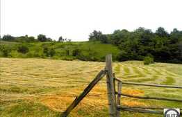 Teren cu o panorama deosebita asupra Clujuilui, la 5 km de Cluj, 2500 mp