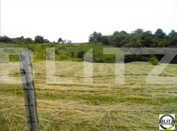 Teren de vânzare Dambul Rotund - 22904TV | BLITZ Cluj-Napoca | Poza5