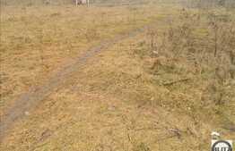 Vanzare teren in zona strazii Cetatii 900 mp!