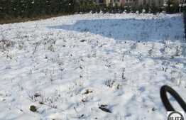 Teren in zona TERRA, 513 mp, utilitati incluse! Cu autorizatie de constructie!