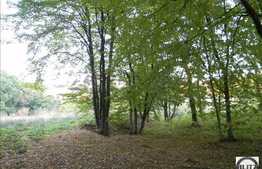 O proprietate ce merita valorificata!