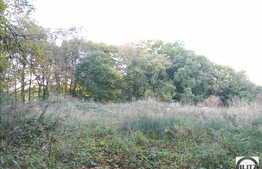 O proprietate ce merita valorificata!