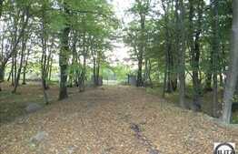 O proprietate ce merita valorificata!