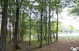 O proprietate ce merita valorificata!