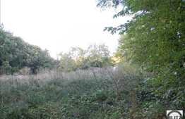 O proprietate ce merita valorificata!