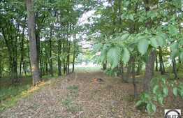 O proprietate ce merita valorificata!