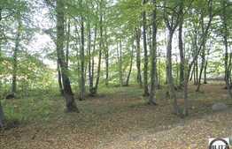 O proprietate ce merita valorificata!