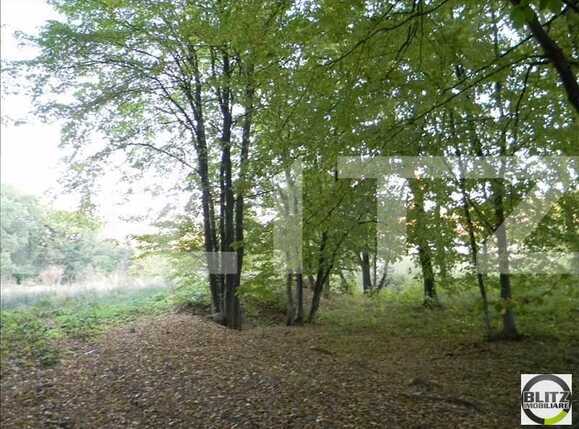 Teren de vânzare Făget - 22909TV | BLITZ Cluj-Napoca | Poza6