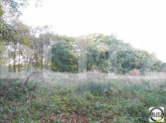 Teren de vânzare Făget - 22909TV | BLITZ Cluj-Napoca | Poza7