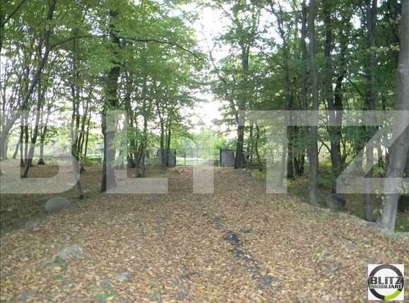 Teren de vânzare Făget - 22909TV | BLITZ Cluj-Napoca | Poza1