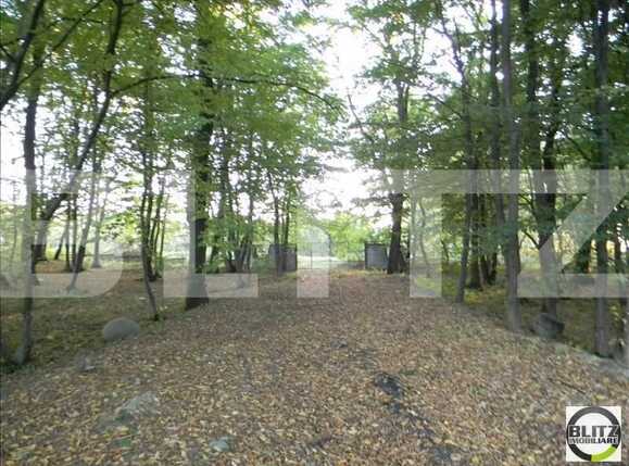 Teren de vânzare Făget - 22909TV | BLITZ Cluj-Napoca | Poza9