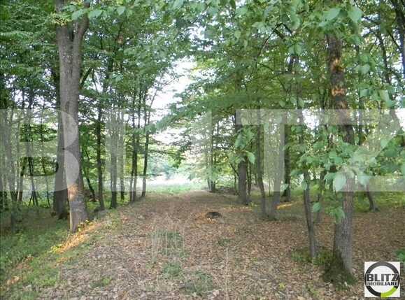 Teren de vânzare Făget - 22909TV | BLITZ Cluj-Napoca | Poza3