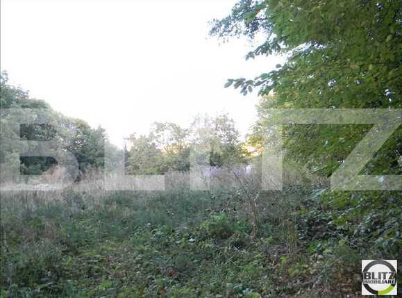 Teren de vânzare Făget - 22909TV | BLITZ Cluj-Napoca | Poza8