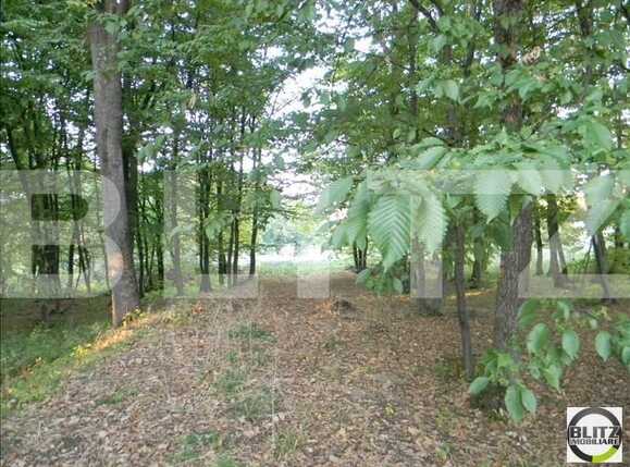 Teren de vânzare Făget - 22909TV | BLITZ Cluj-Napoca | Poza4