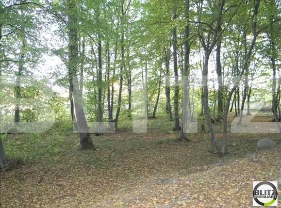 Teren de vânzare Făget - 22909TV | BLITZ Cluj-Napoca | Poza10