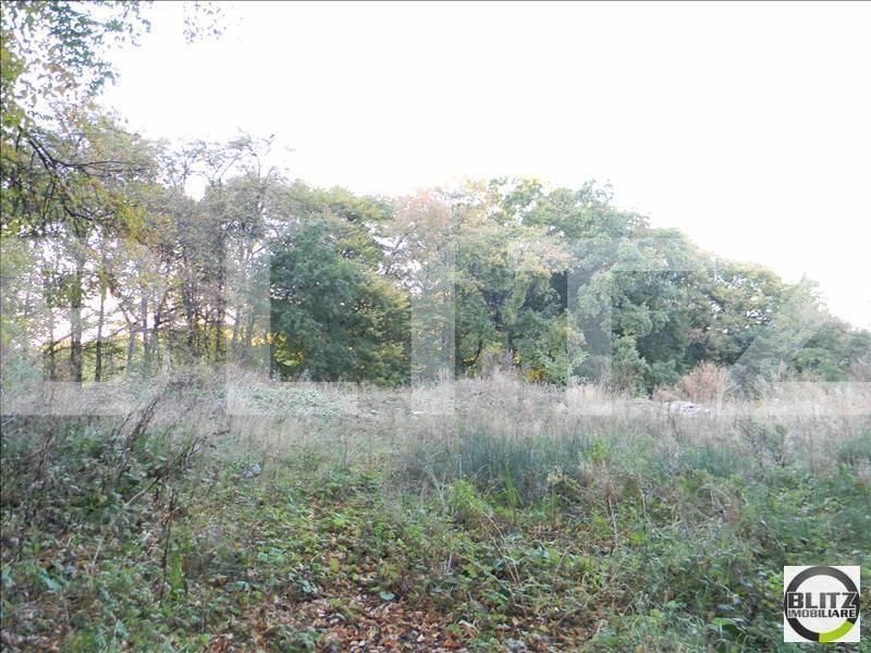 Teren de vânzare Făget - 22909TV | BLITZ Cluj-Napoca | Poza7