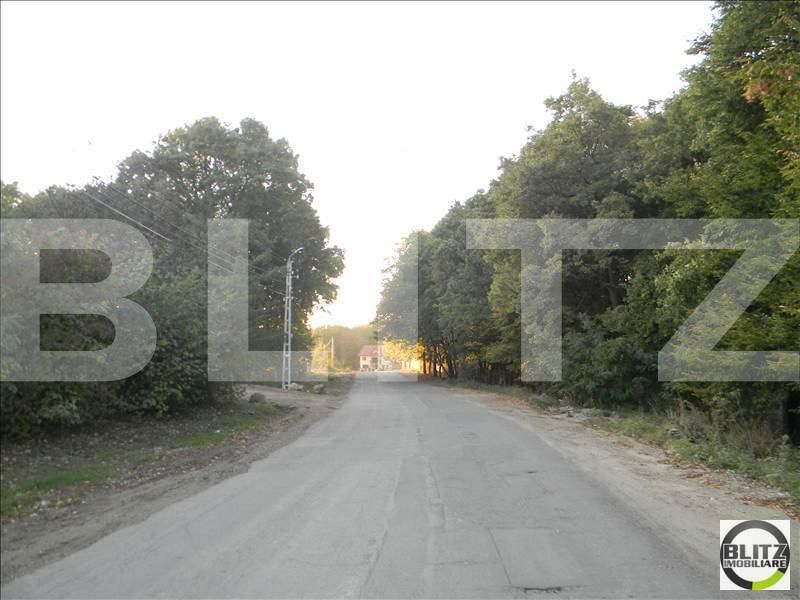 Teren de vânzare Făget - 22909TV | BLITZ Cluj-Napoca | Poza11