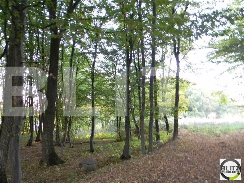 Teren de vânzare Făget - 22909TV | BLITZ Cluj-Napoca | Poza5