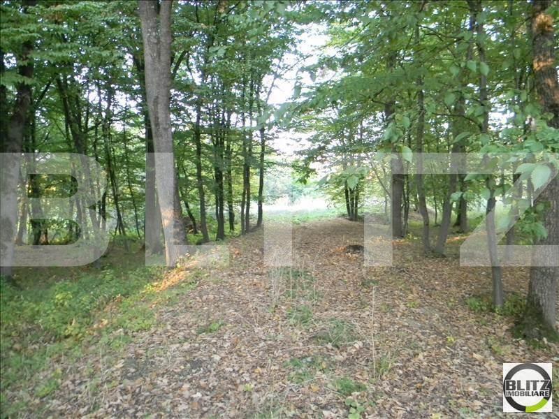 Teren de vânzare Făget - 22909TV | BLITZ Cluj-Napoca | Poza2