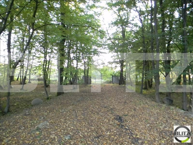 Teren de vânzare Făget - 22909TV | BLITZ Cluj-Napoca | Poza9