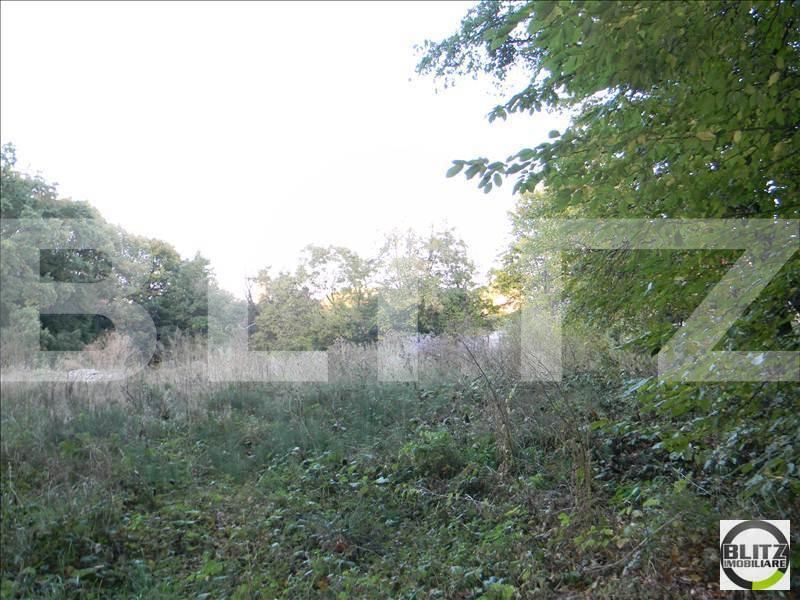 Teren de vânzare Făget - 22909TV | BLITZ Cluj-Napoca | Poza8